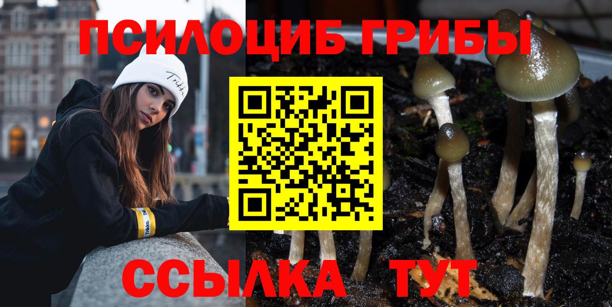 Псилоцибиновые грибы ЛСД Лесной