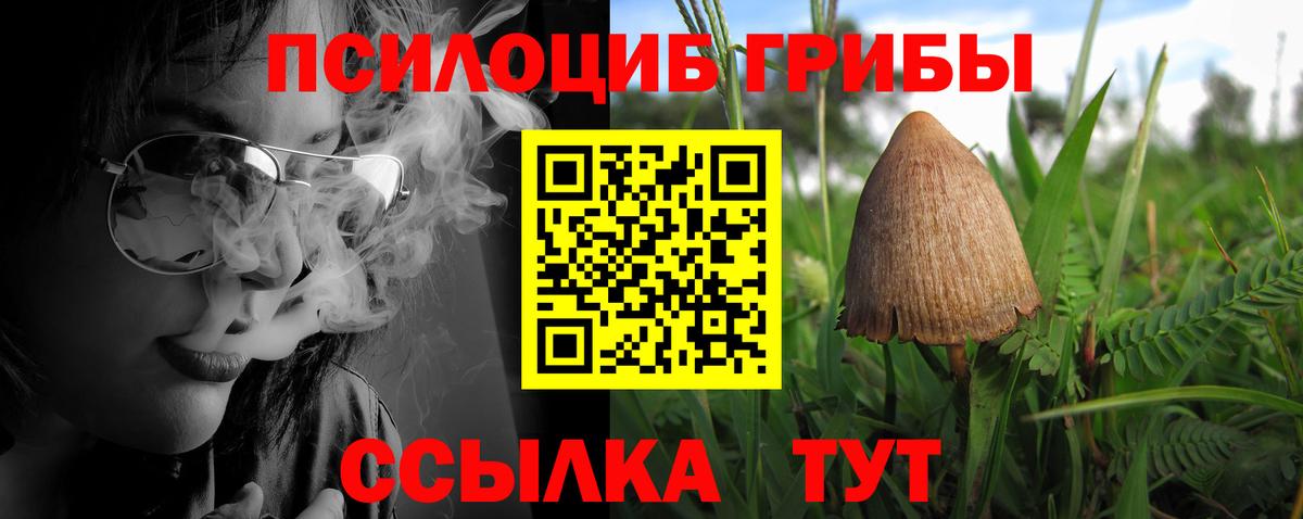 закладка  Вход с VPN  Лесной  Псилоцибиновые грибы Magic Shrooms 
