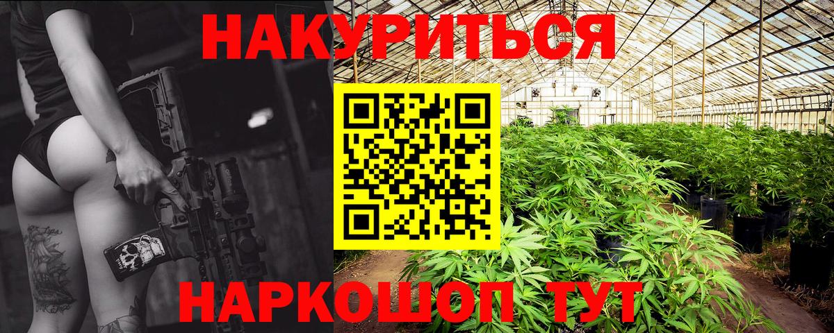 Бошки марихуана план  Бошки Шишки конопля  Лесной  Вход с VPN  Марихуана сатива 